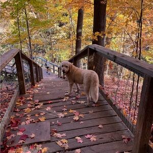 Meet your Posher, Joanne